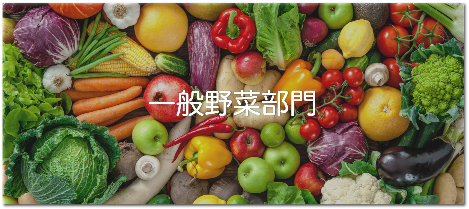 一般野菜部門で取り扱う野菜一覧