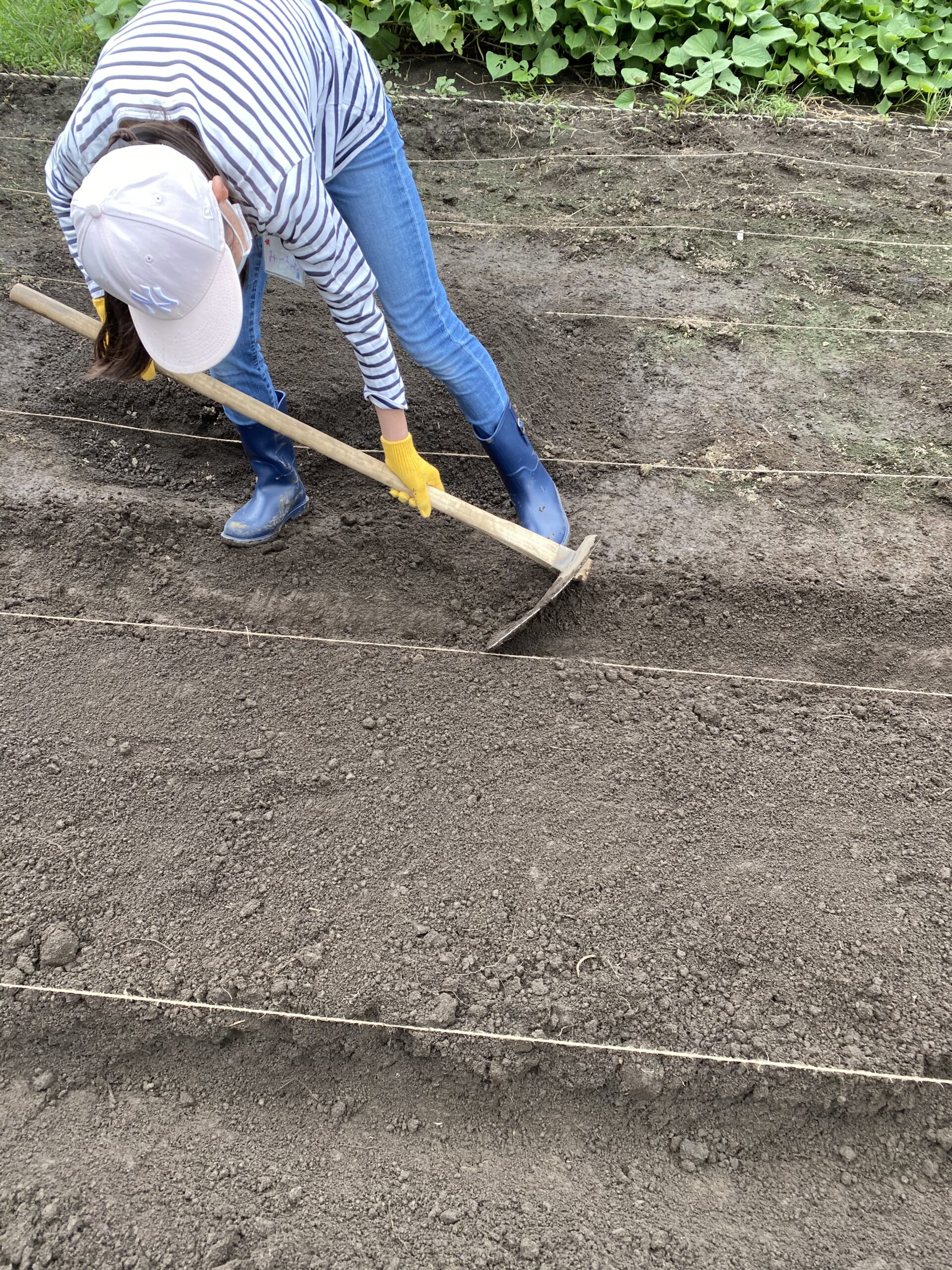 鍬の正しい握り方