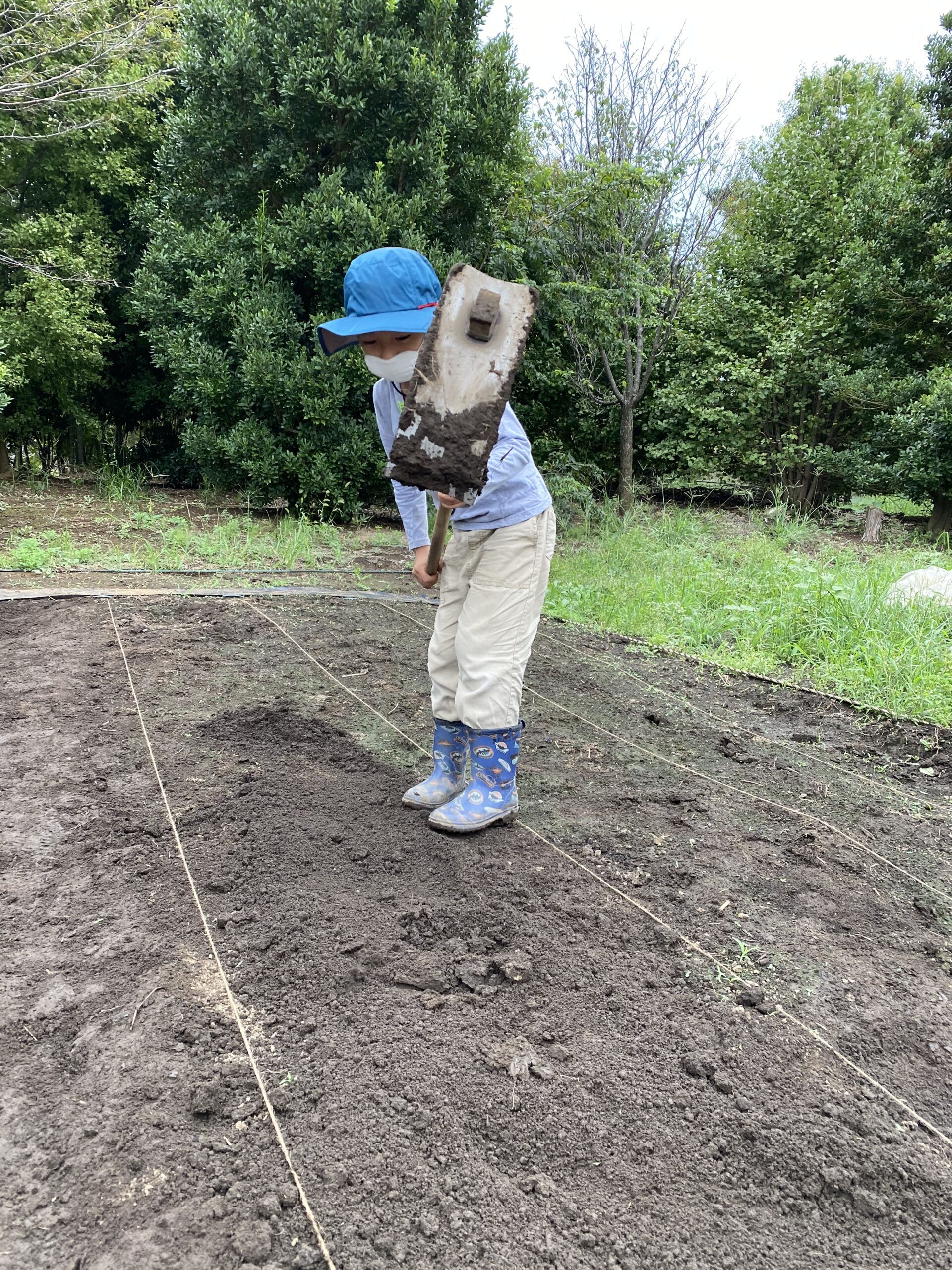 様々な種類の鍬