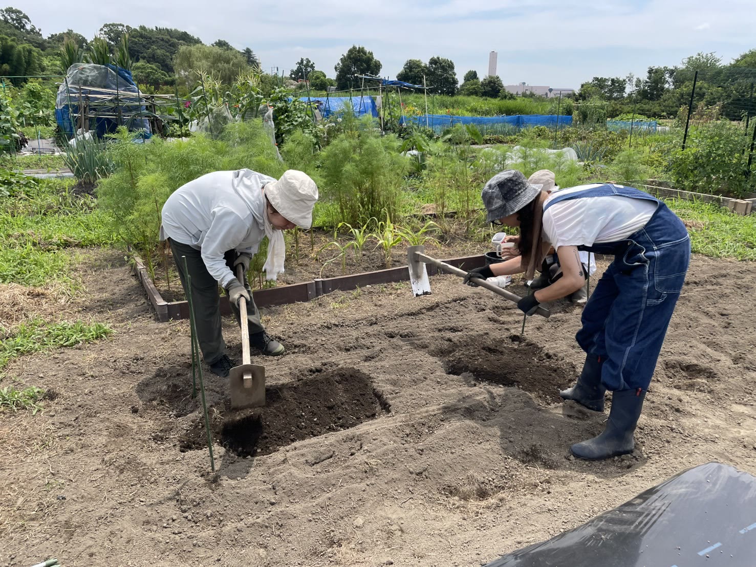 畑で土づくりに取り組む大人の農業体験参加者