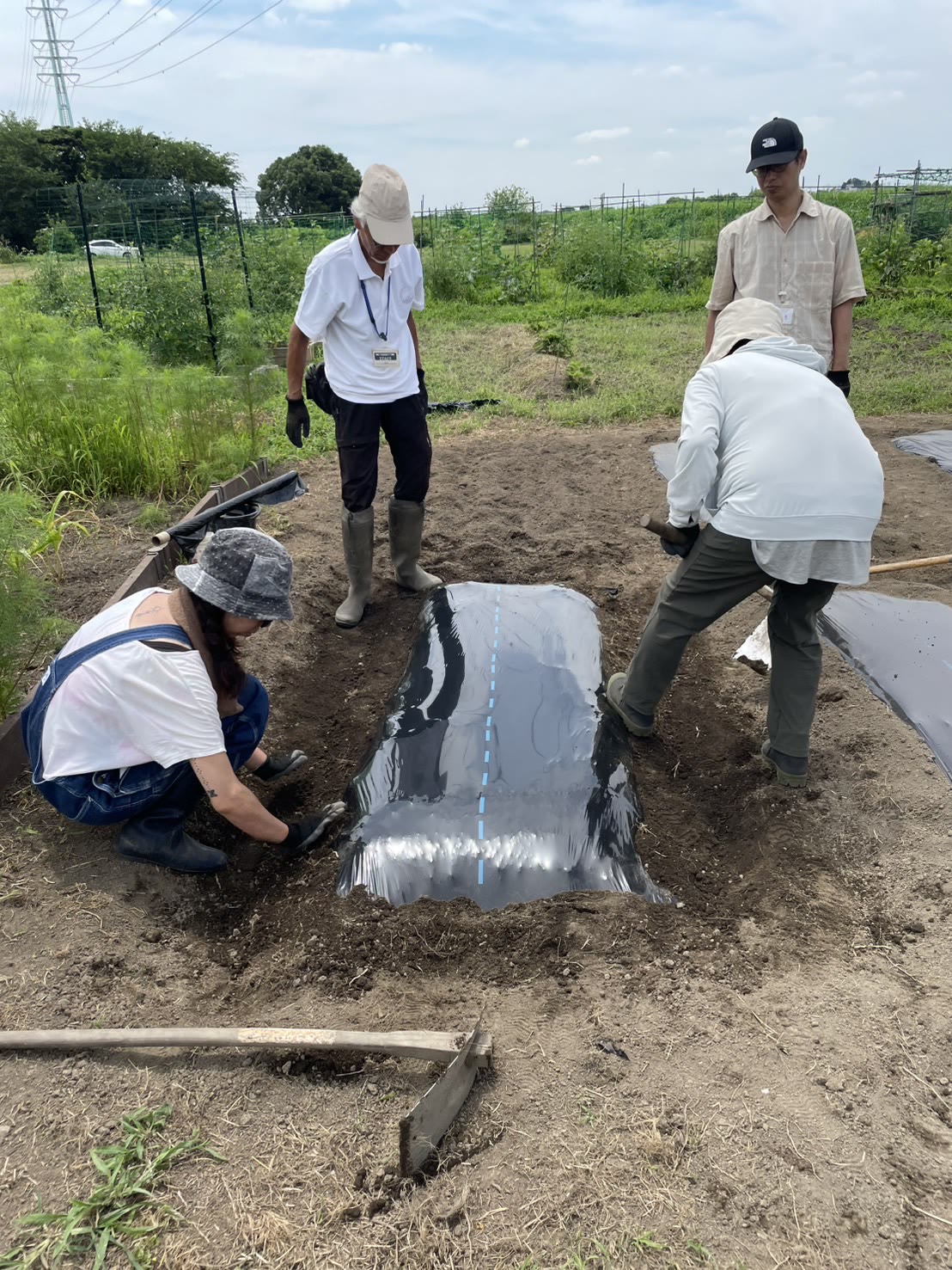 畝に黒マルチを張る大人の農業体験参加者